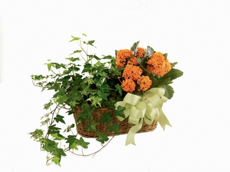 Garden Ivy Basket In Waterford Michigan Jacobsen's Flowers